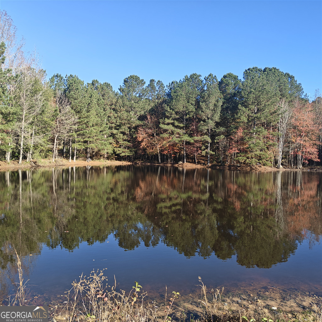 461 Mcdonough Road Hampton GA 30228