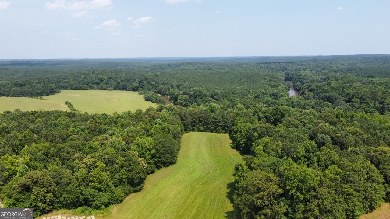 0 N. Ola Road Mcdonough GA 30252