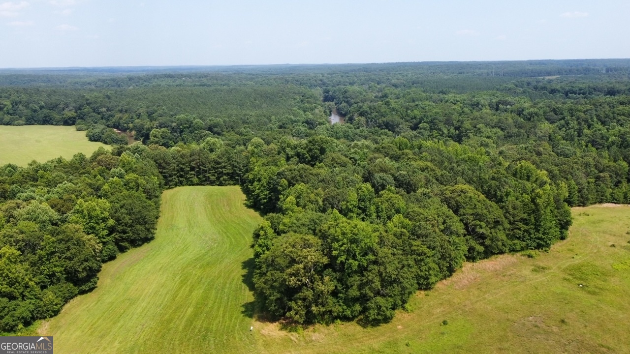 0 N. Ola Road Mcdonough GA 30252