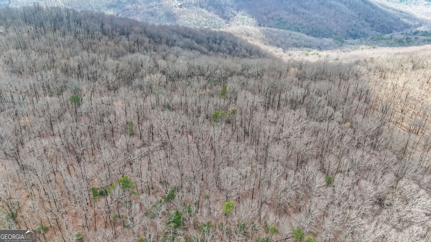 22 Andes Ridge Jasper GA 30143