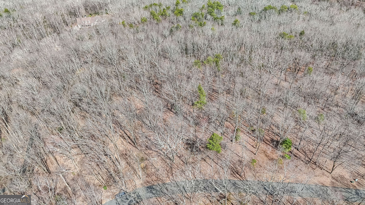 22 Andes Ridge Jasper GA 30143