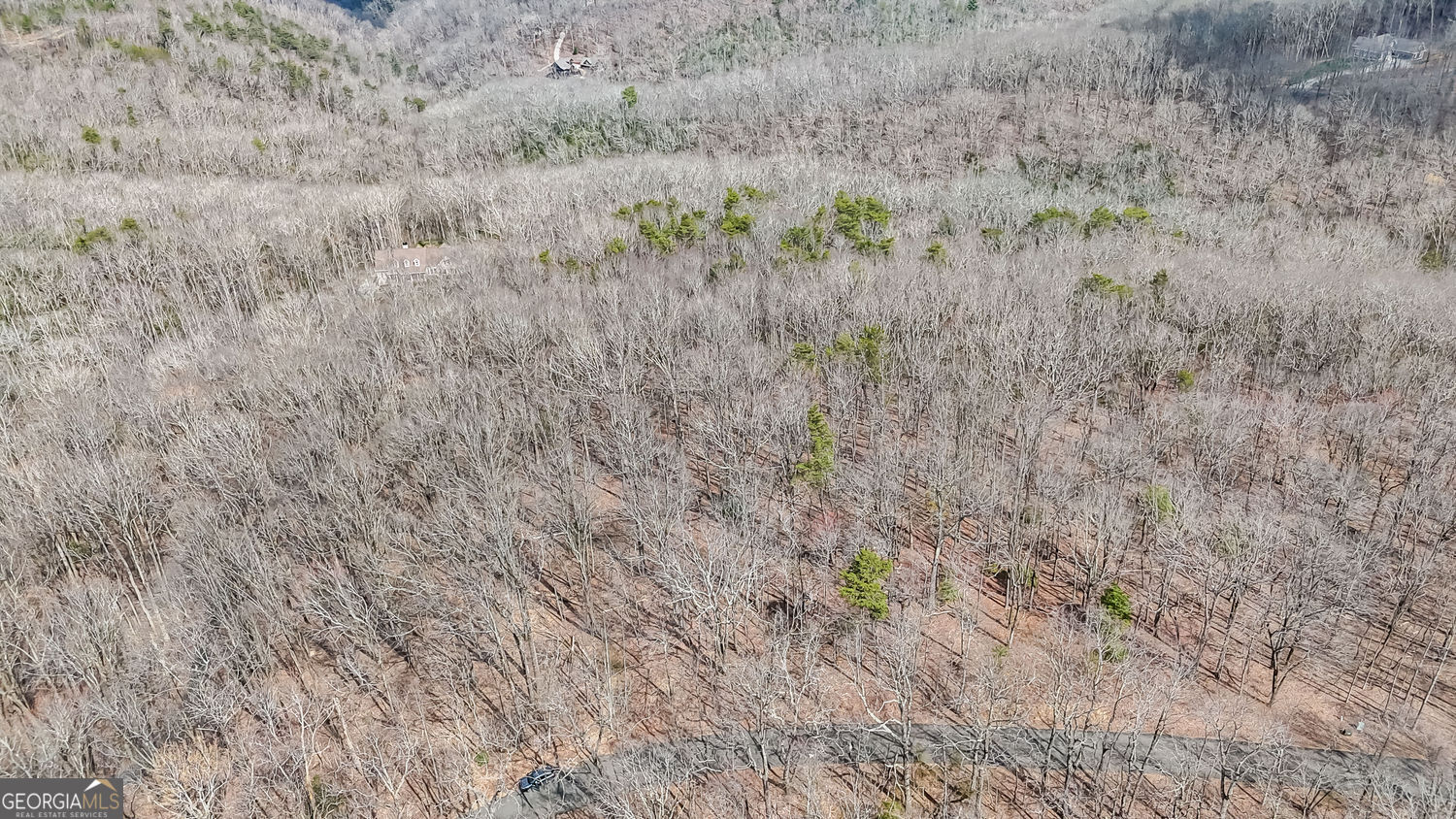 22 Andes Ridge Jasper GA 30143