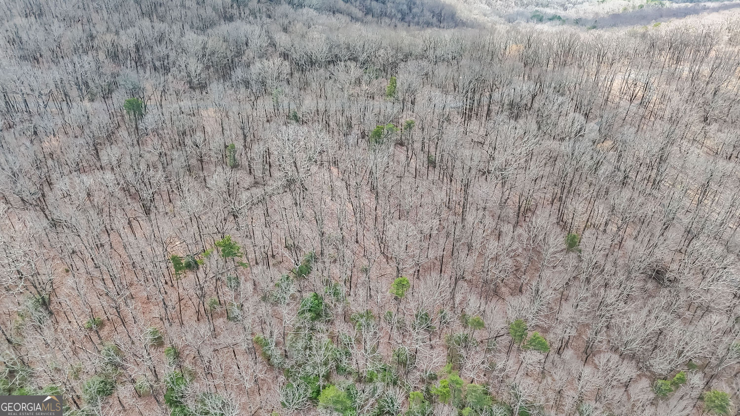 22 Andes Ridge Jasper GA 30143