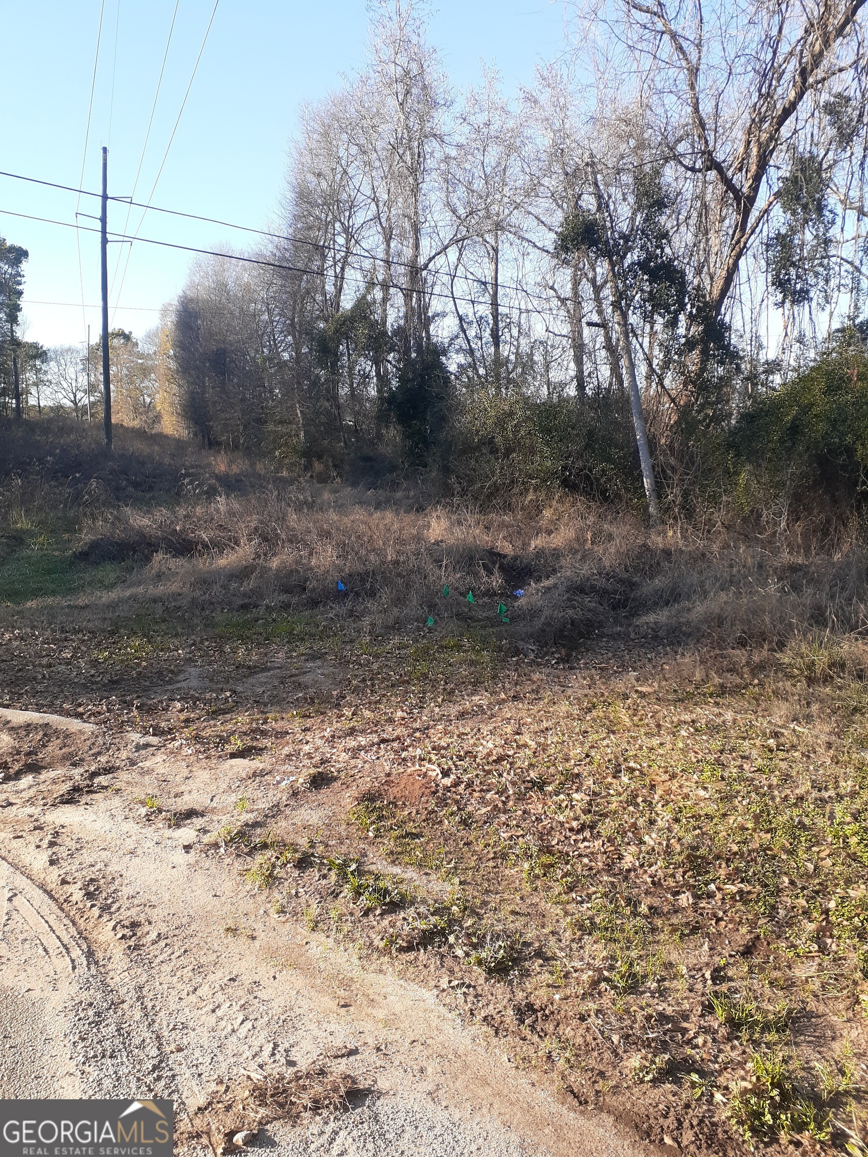 33 V C Street Newnan GA 30263