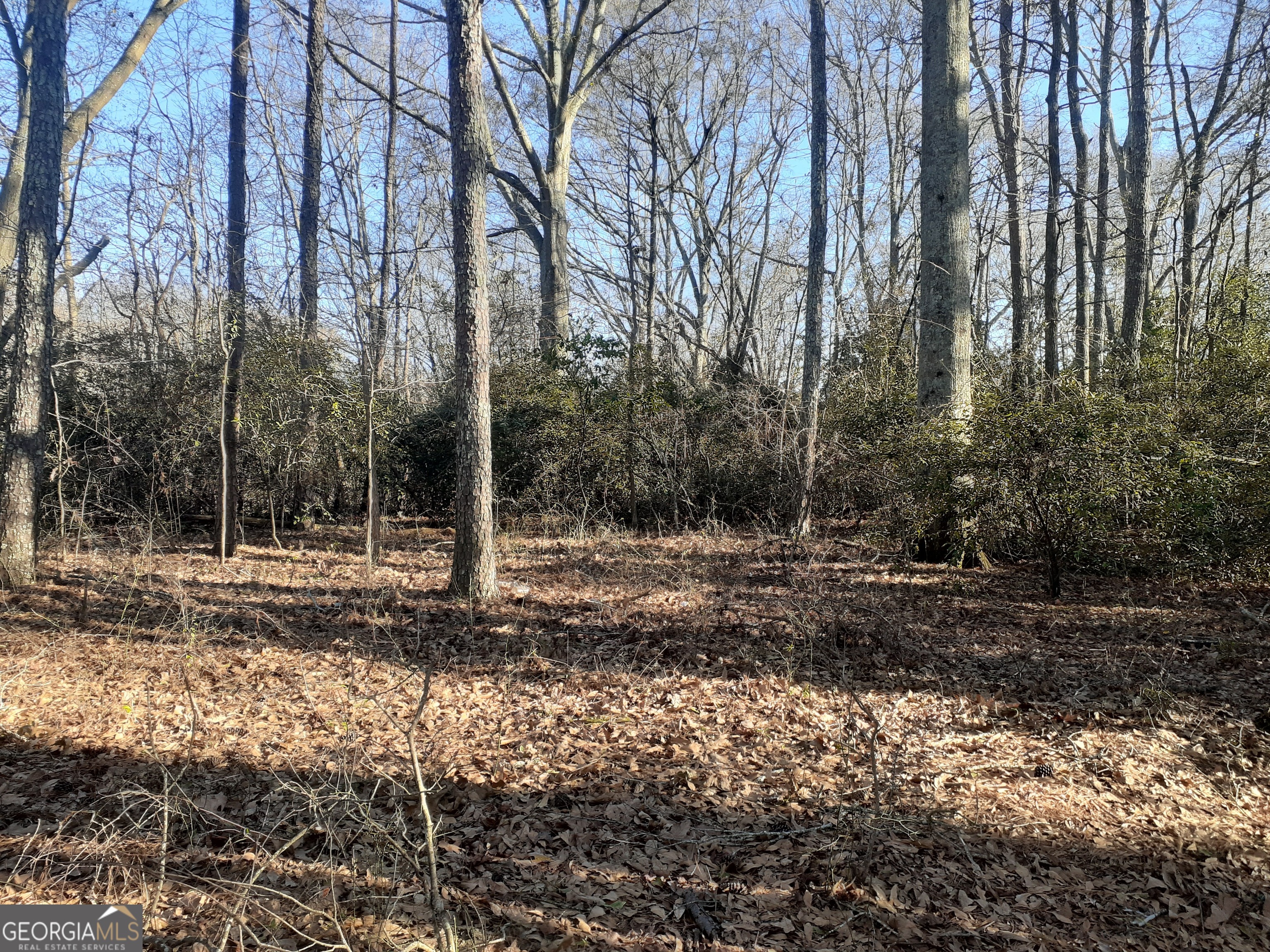 33 V C Street Newnan GA 30263