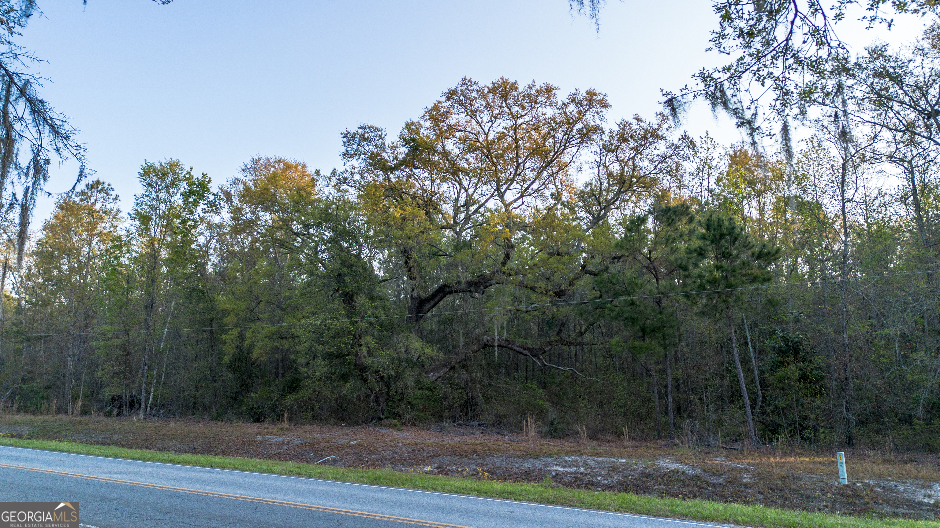 0 Little Mccall Road Rincon GA 31326