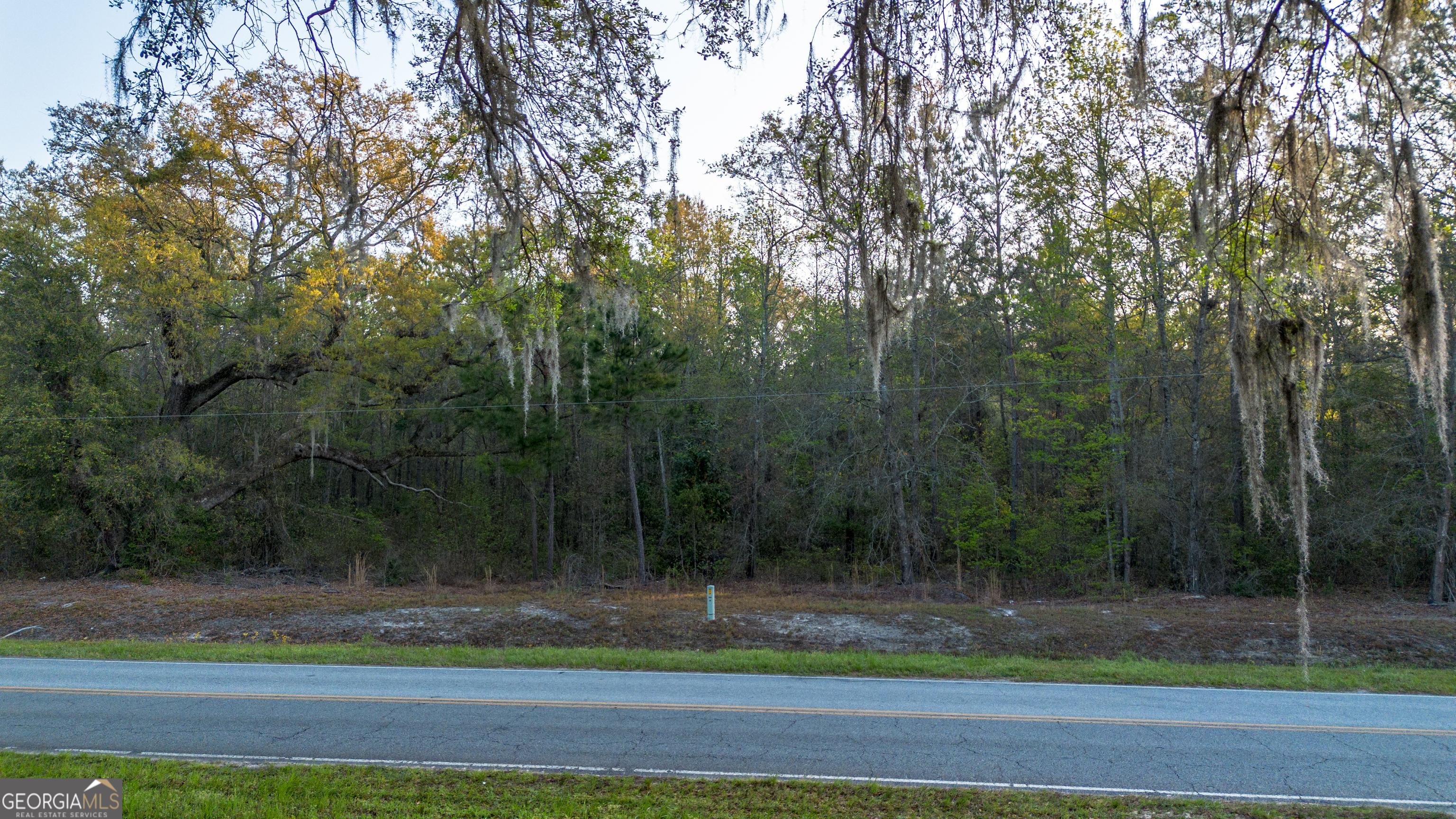 0 Little Mccall Road Rincon GA 31326