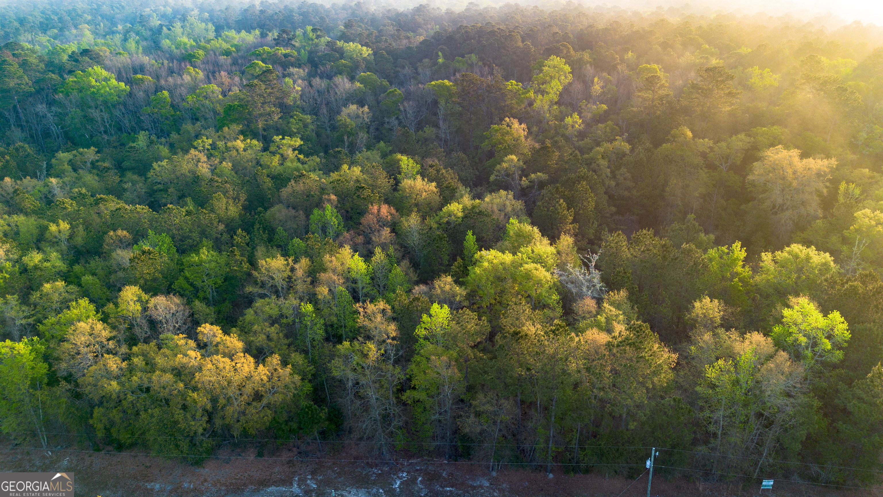 0 Little Mccall Road Rincon GA 31326