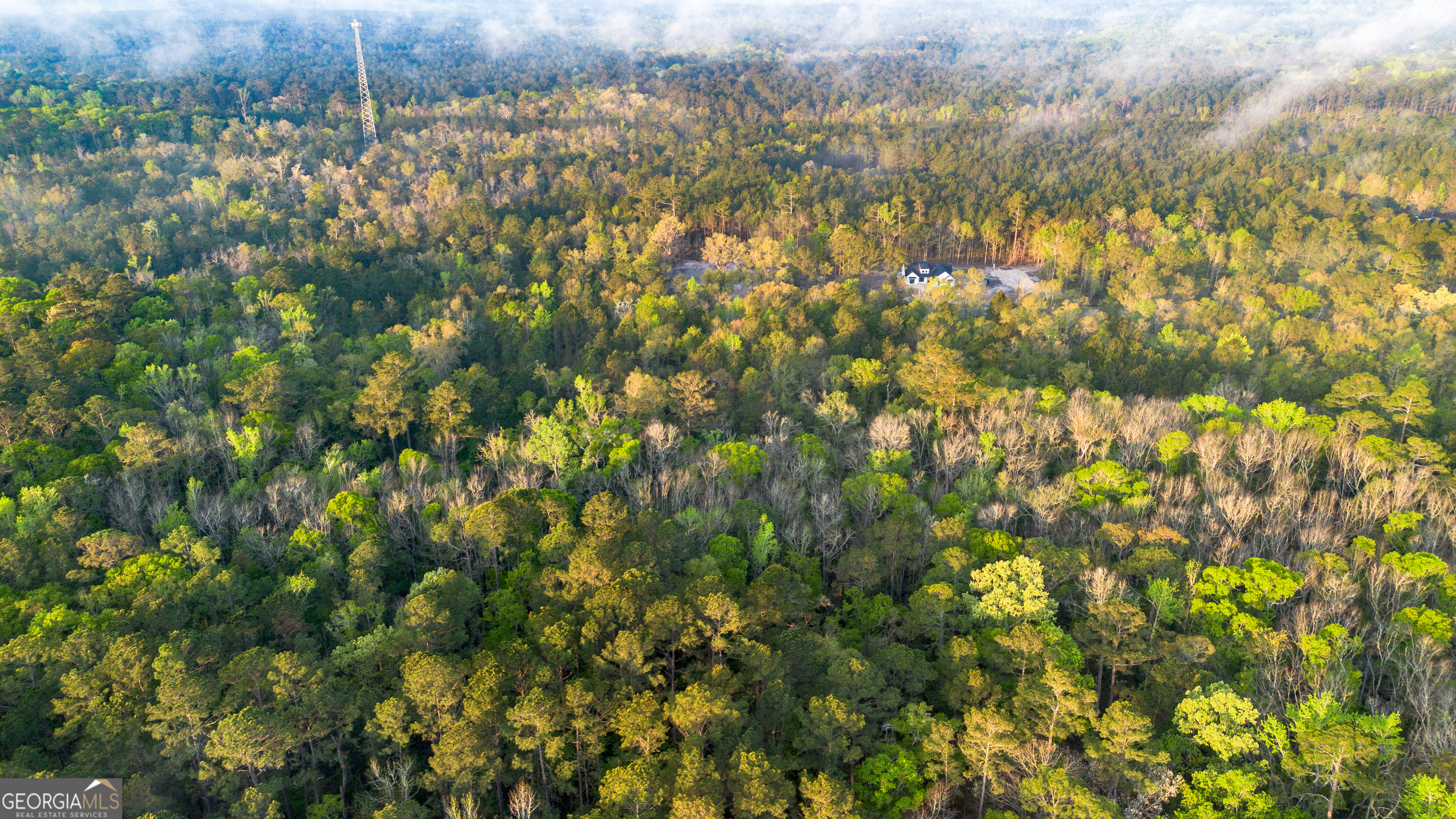 0 Little Mccall Road Rincon GA 31326
