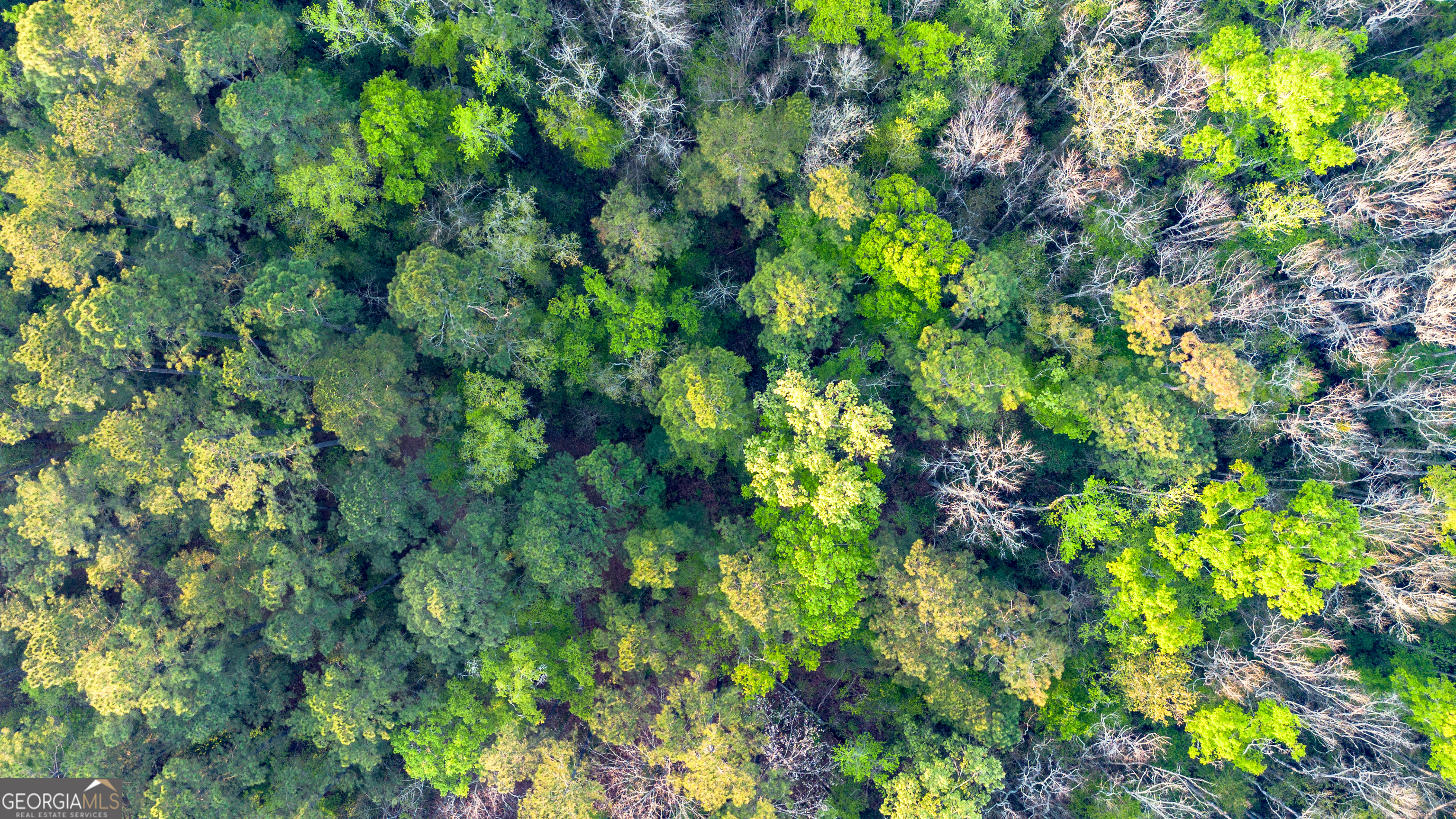 0 Little Mccall Road Rincon GA 31326