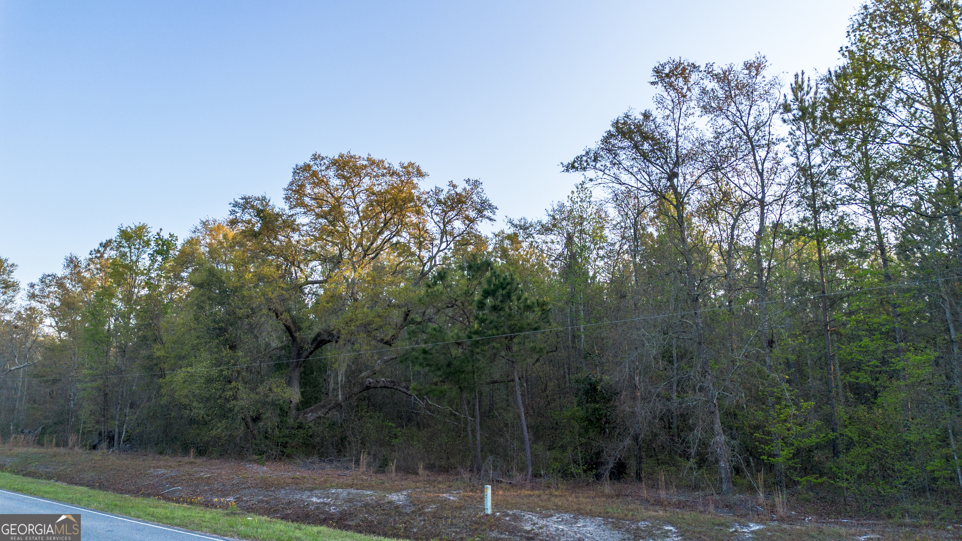 0 Little Mccall Road Rincon GA 31326