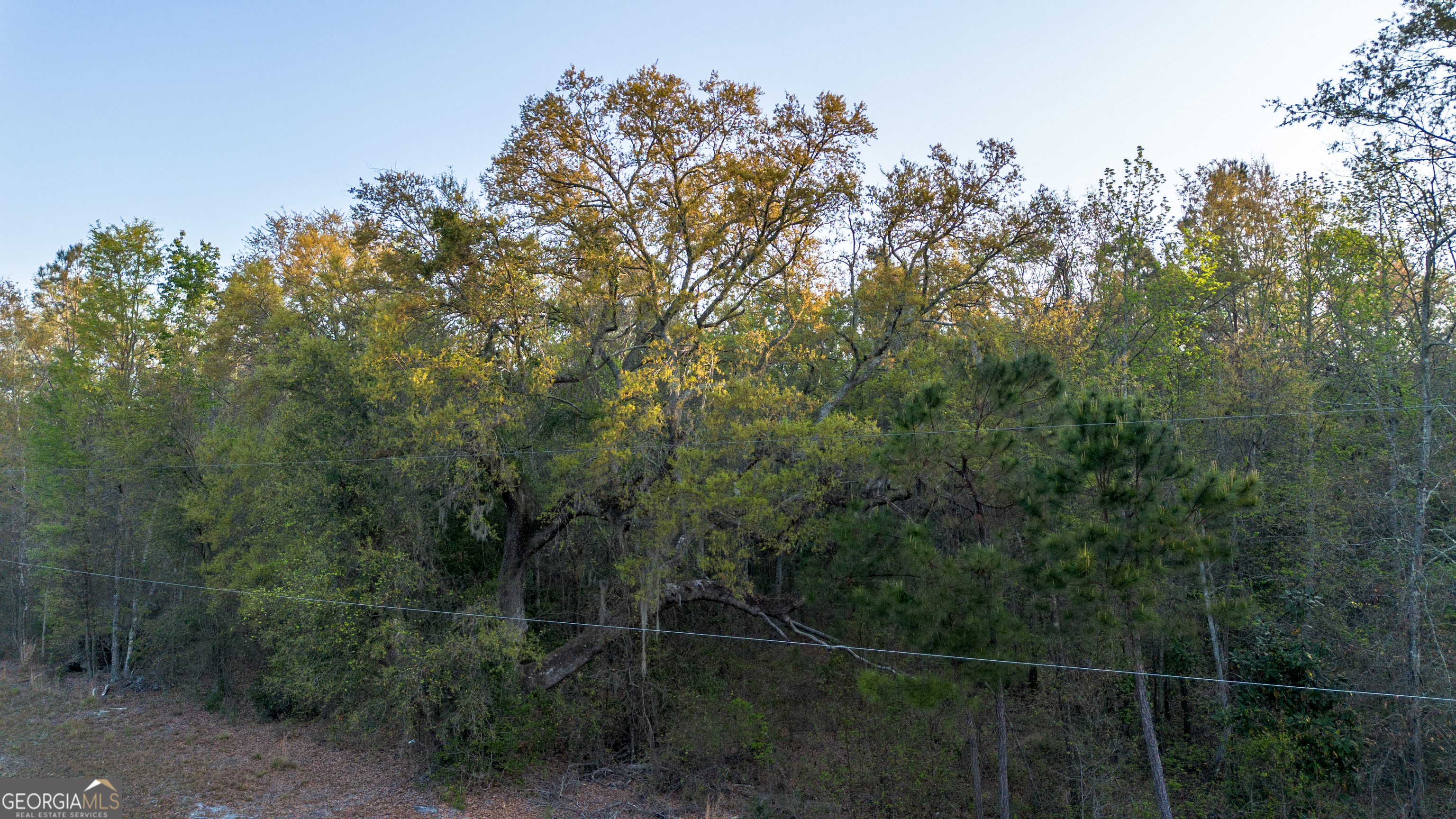 0 Little Mccall Road Rincon GA 31326