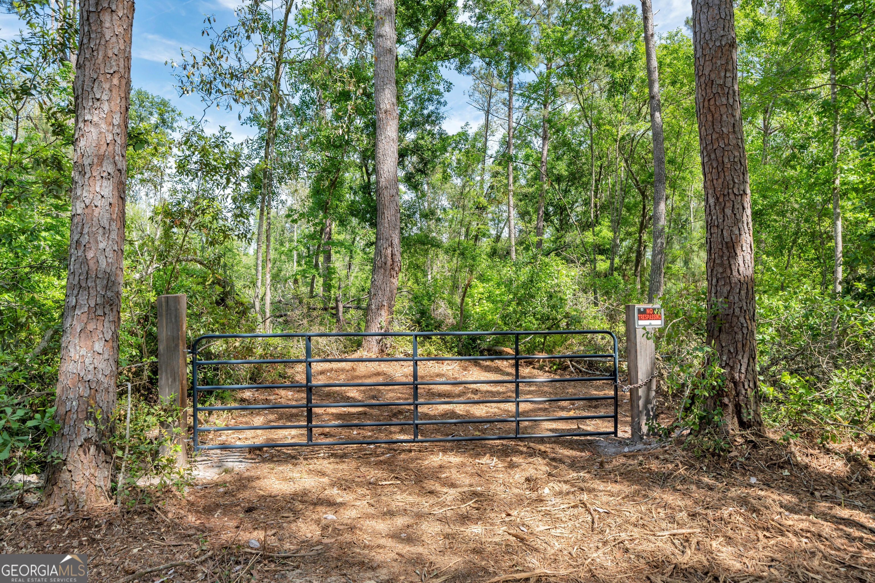 0 Twin Oaks Road Ray City GA 31645