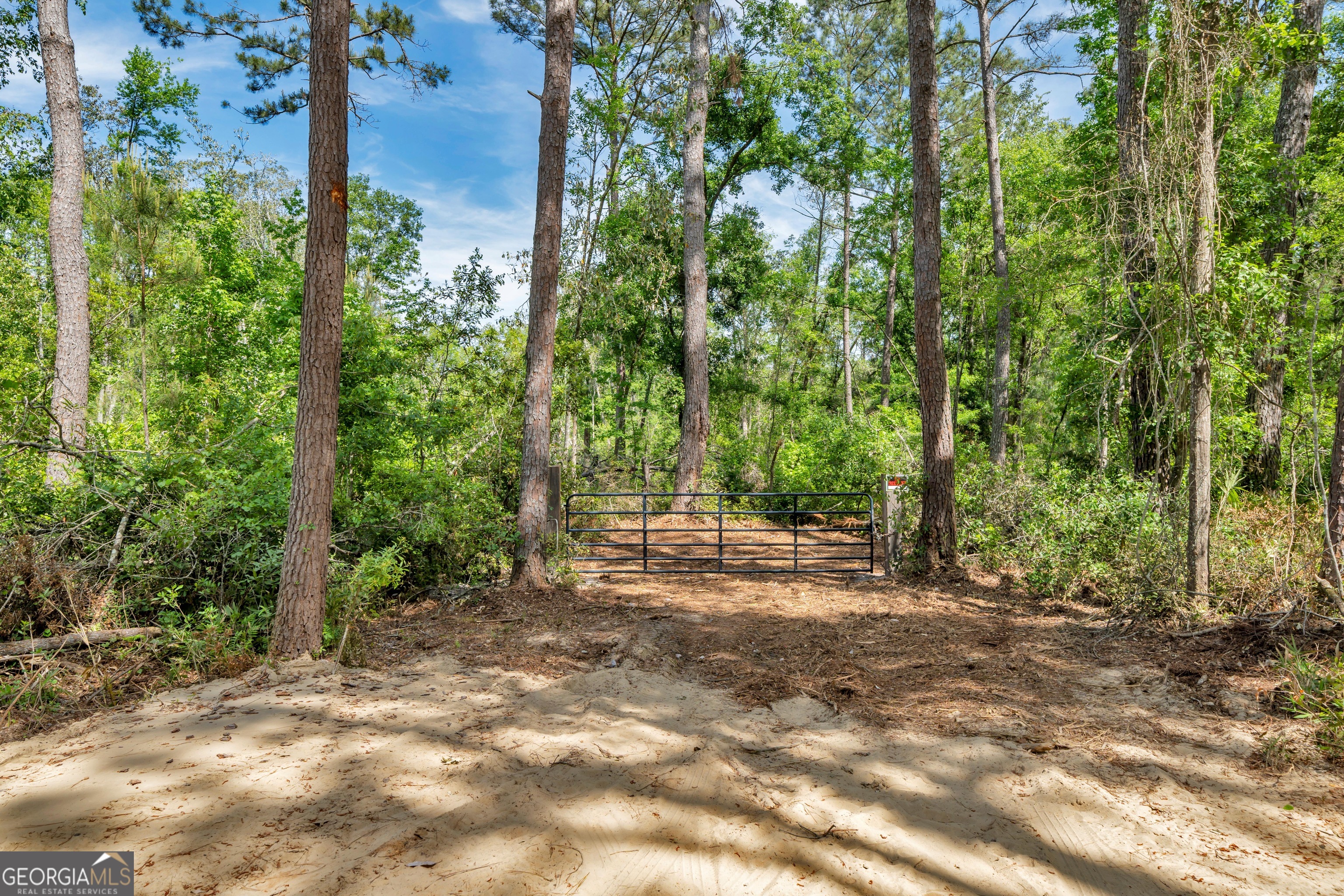 0 Twin Oaks Road Ray City GA 31645