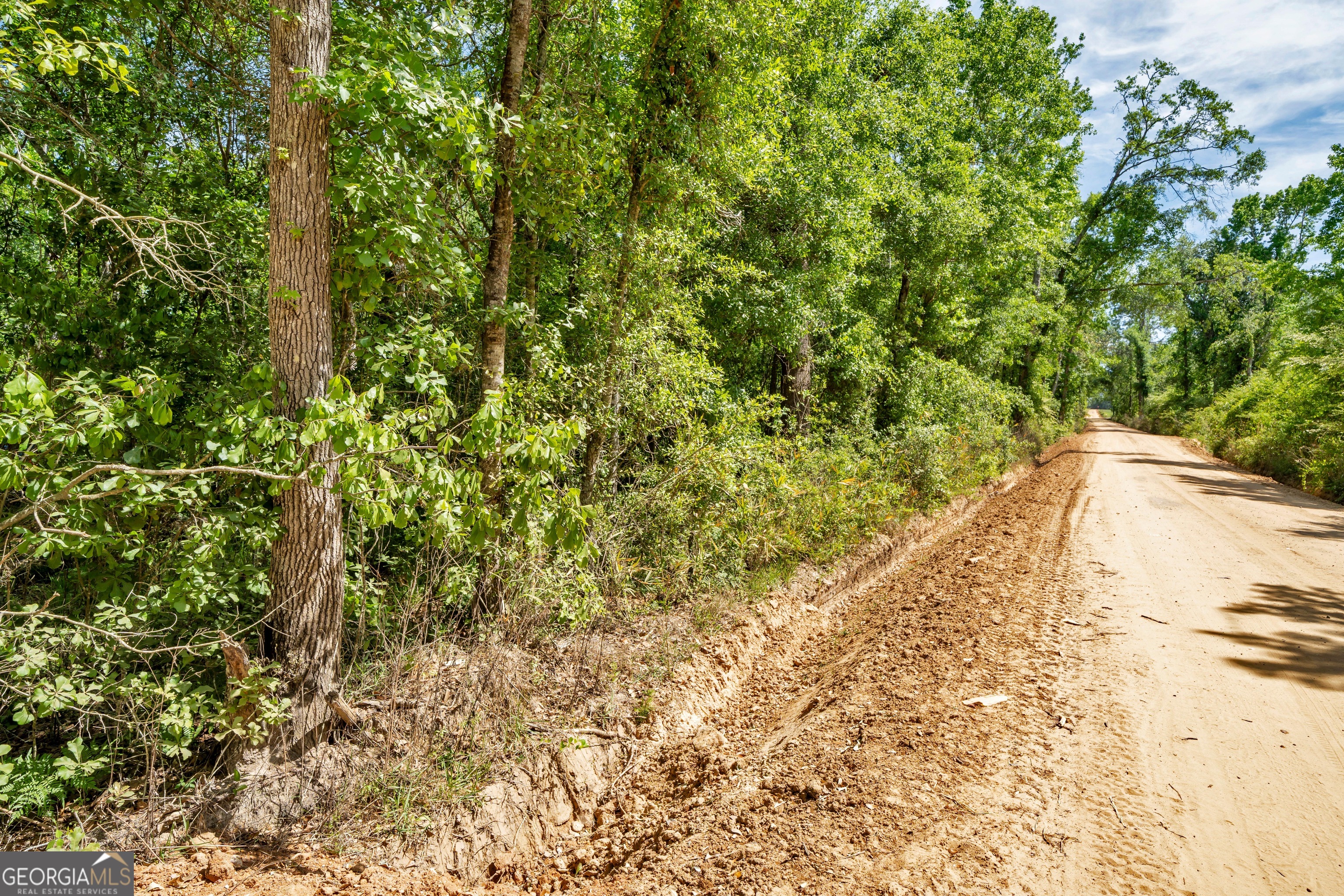 0 Twin Oaks Road Ray City GA 31645