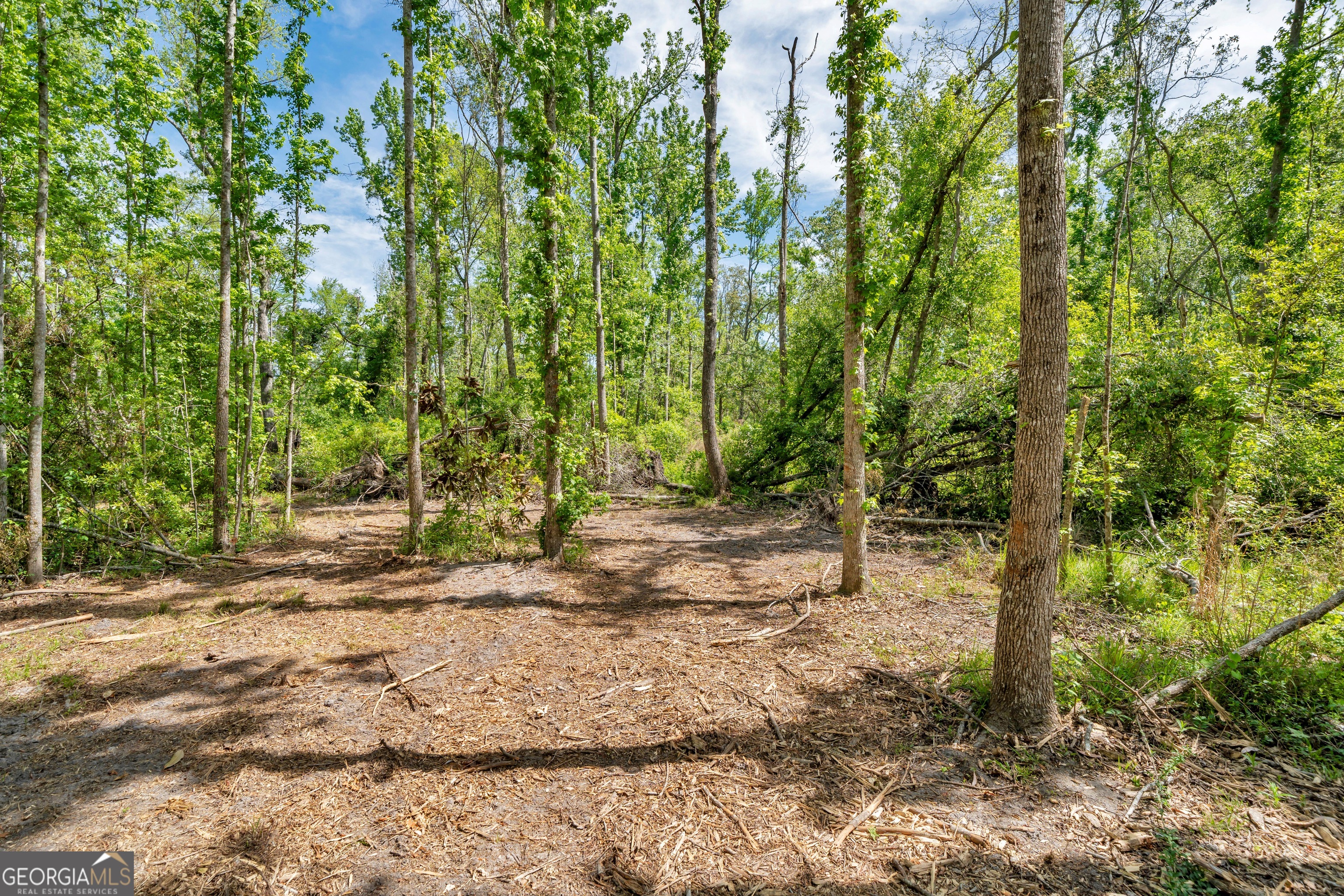 0 Twin Oaks Road Ray City GA 31645