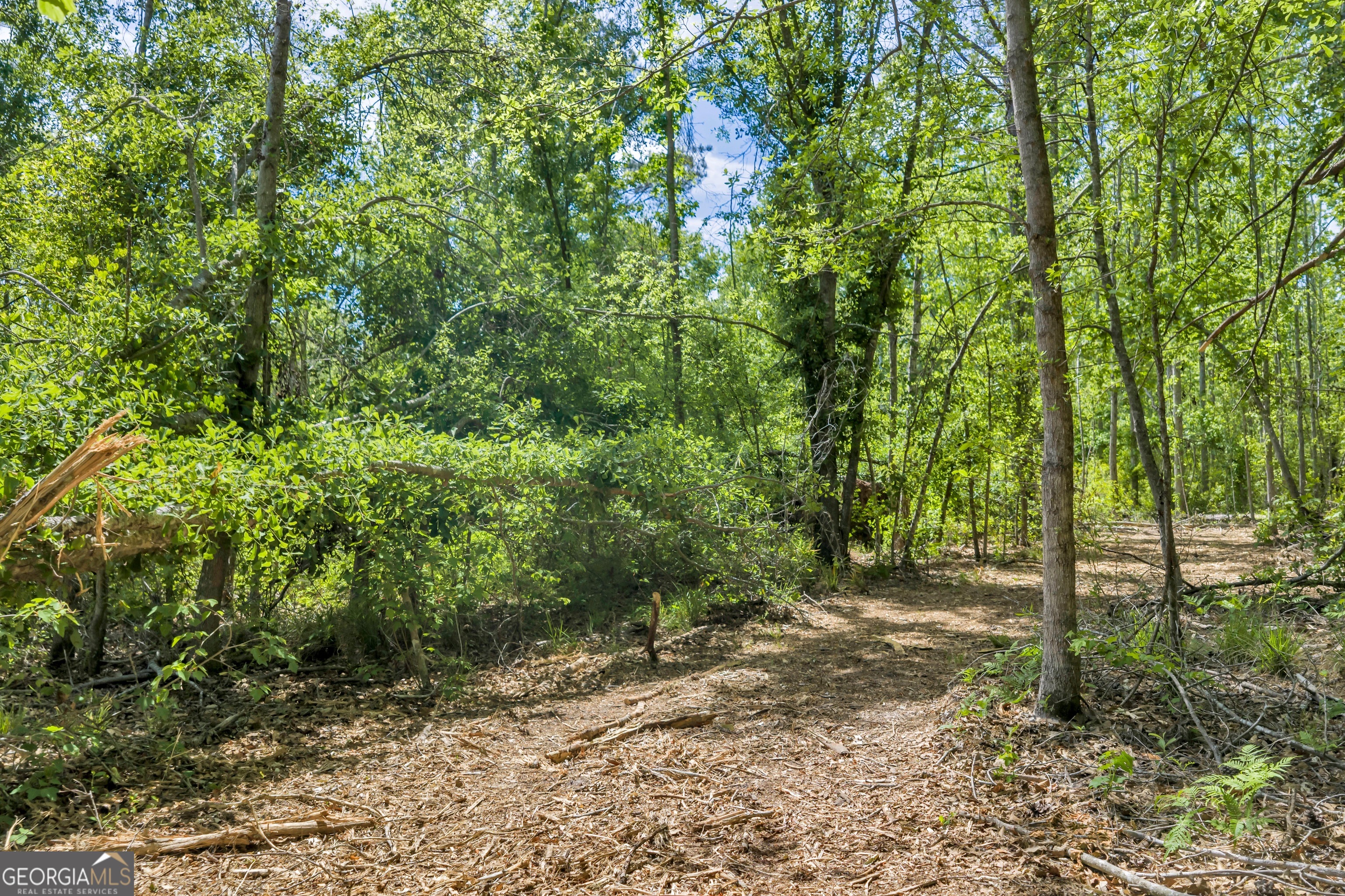 0 Twin Oaks Road Ray City GA 31645