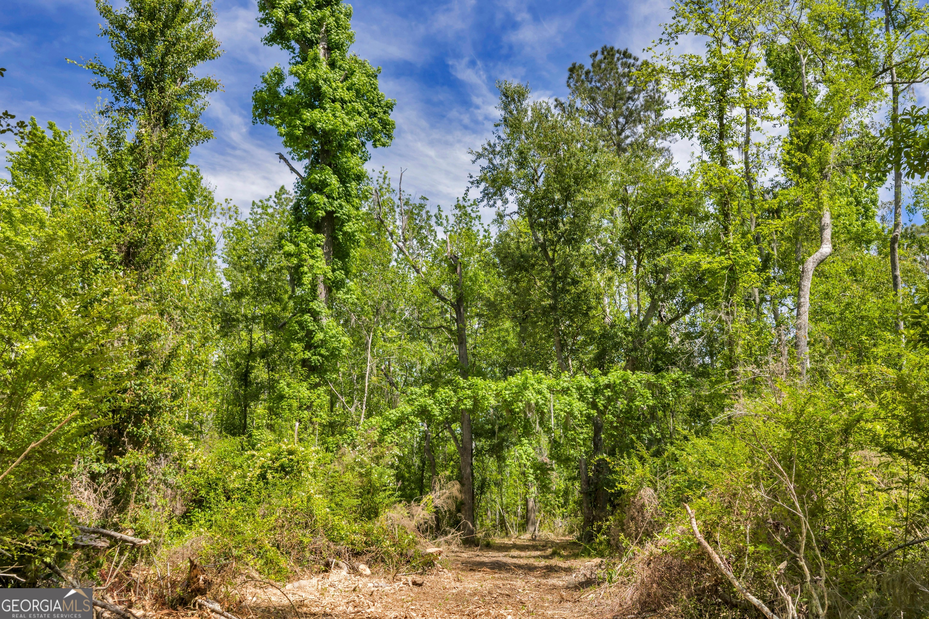 0 Twin Oaks Road Ray City GA 31645