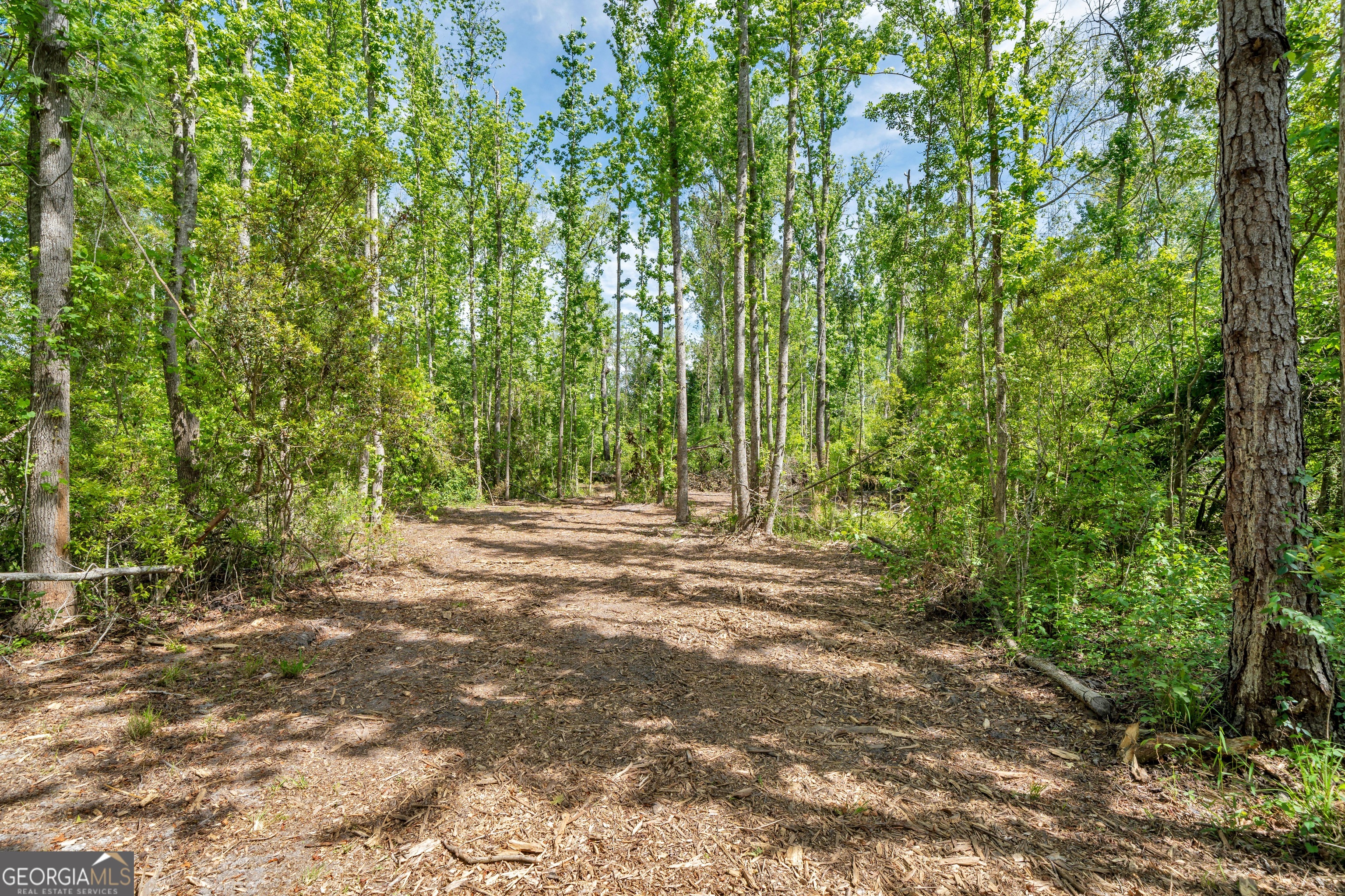 0 Twin Oaks Road Ray City GA 31645