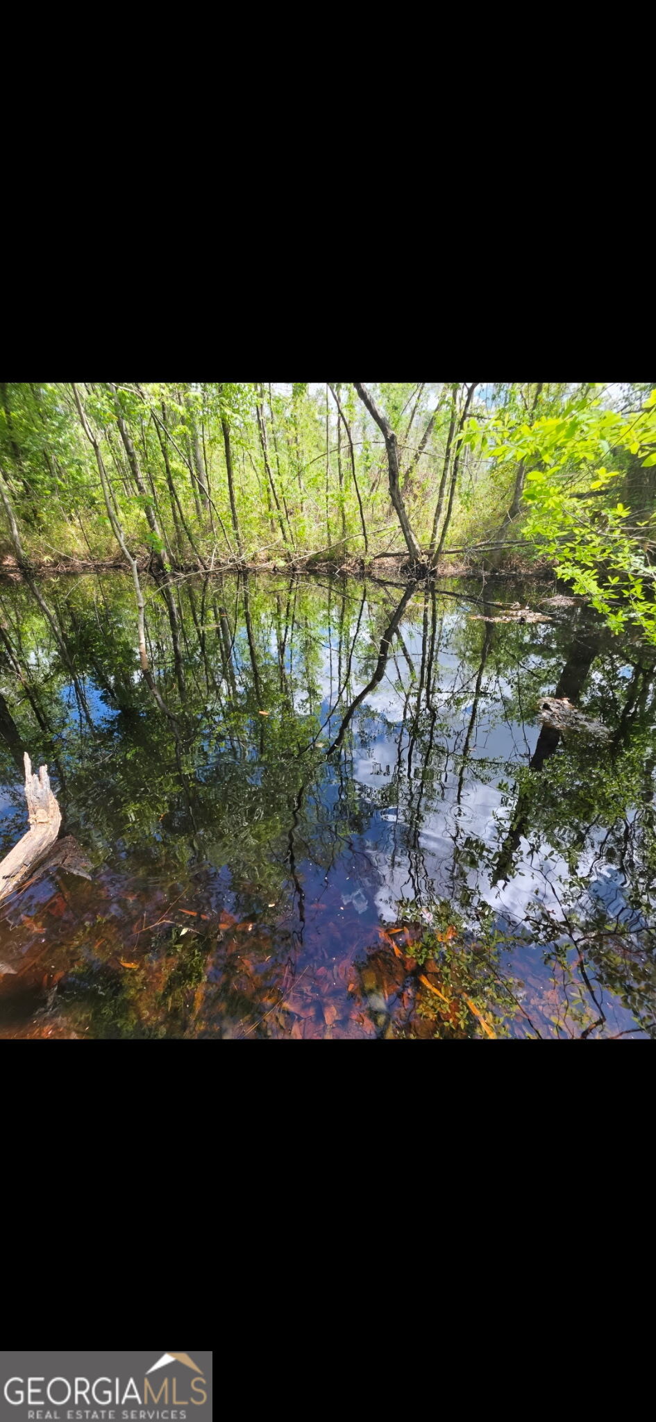 0 Twin Oaks Road Ray City GA 31645