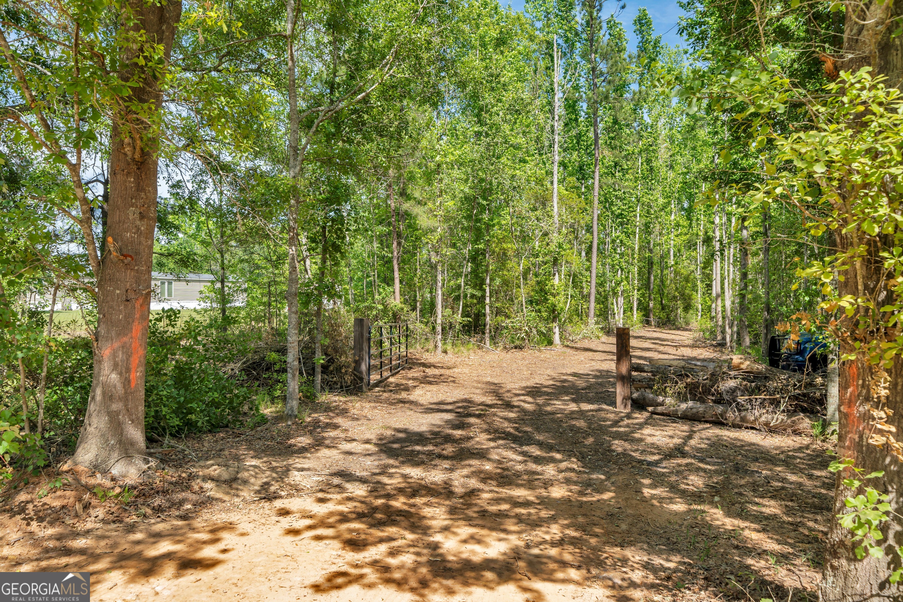0 Twin Oaks Road Ray City GA 31645