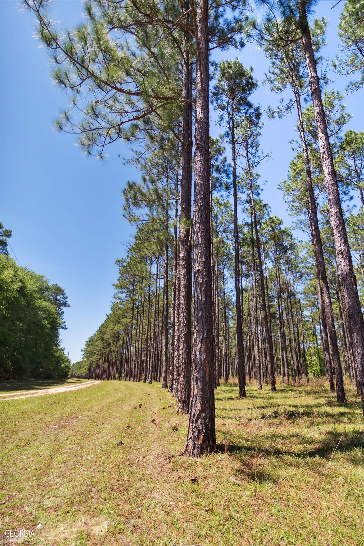 16299 Ga Highway 46 Soperton GA 30457