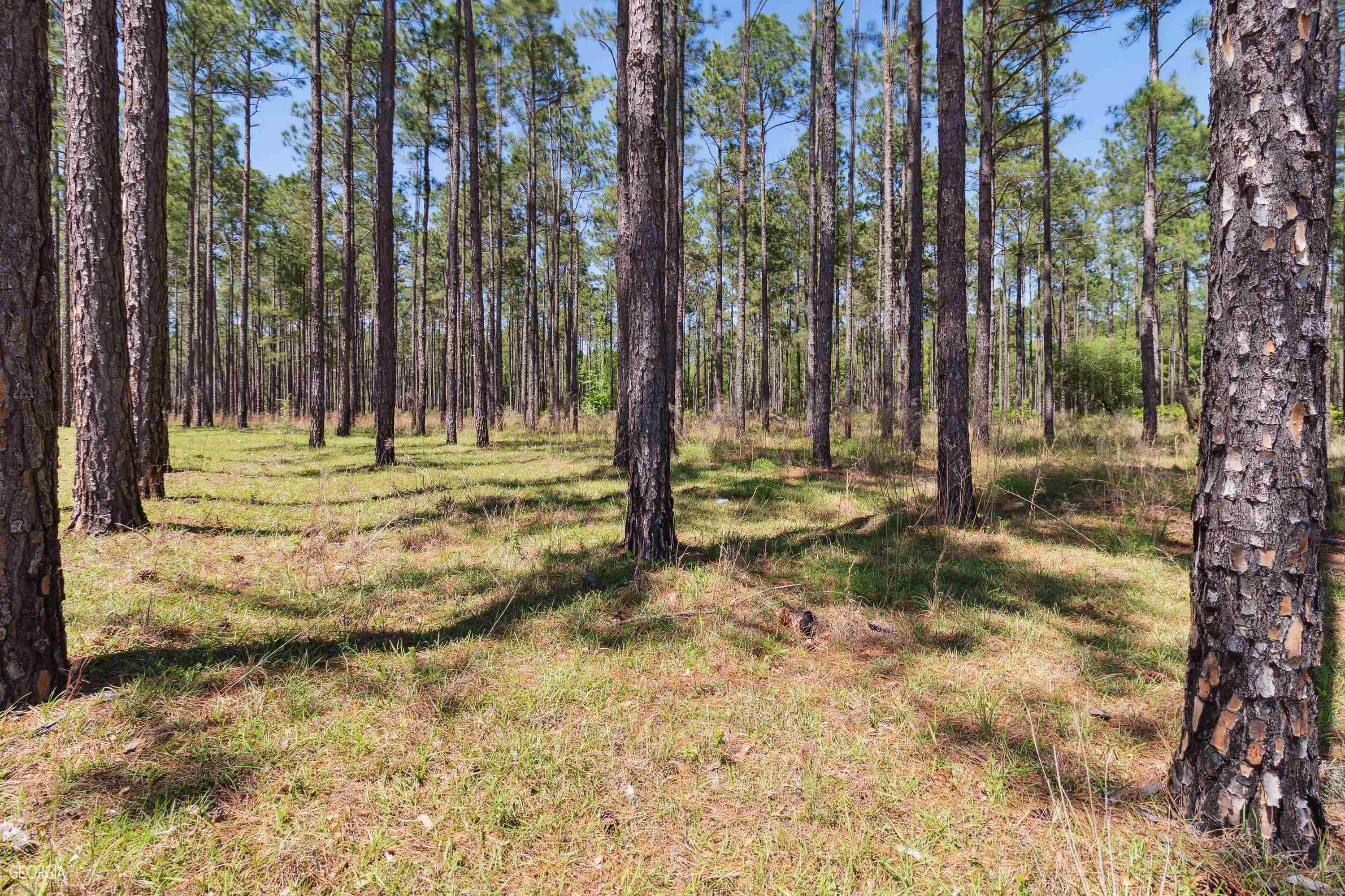 16299 Ga Highway 46 Soperton GA 30457