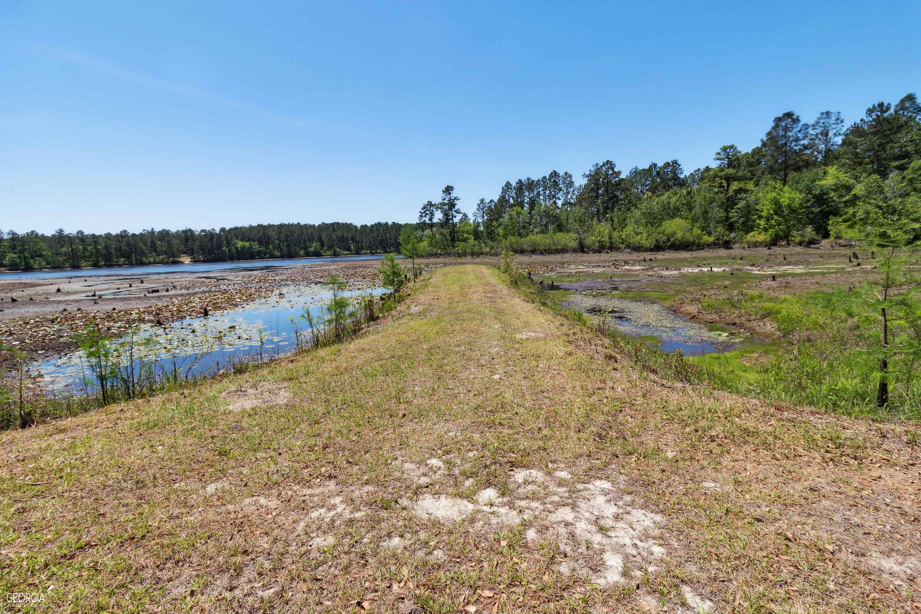 16299 Ga Highway 46 Soperton GA 30457