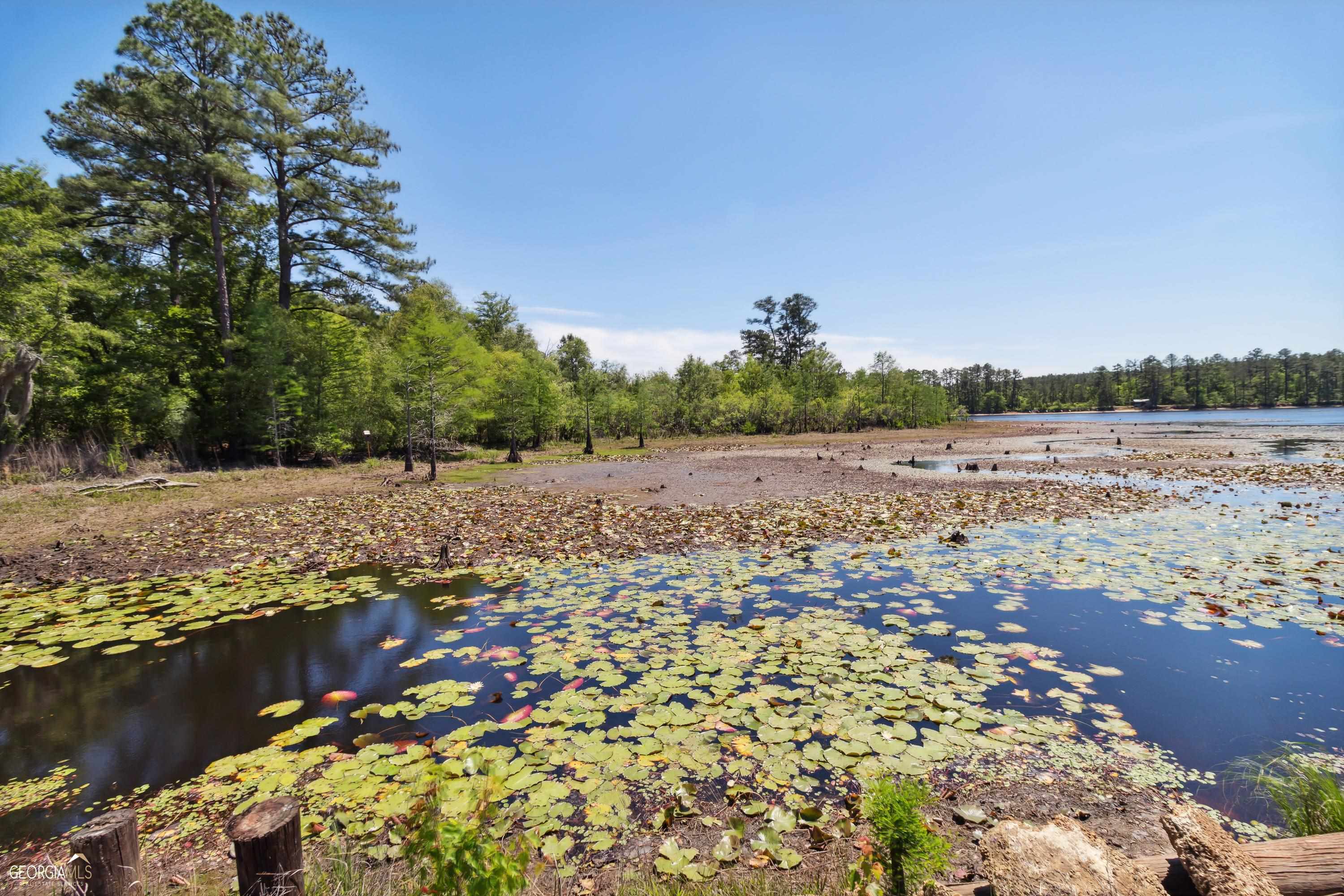 16299 Ga Highway 46 Soperton GA 30457
