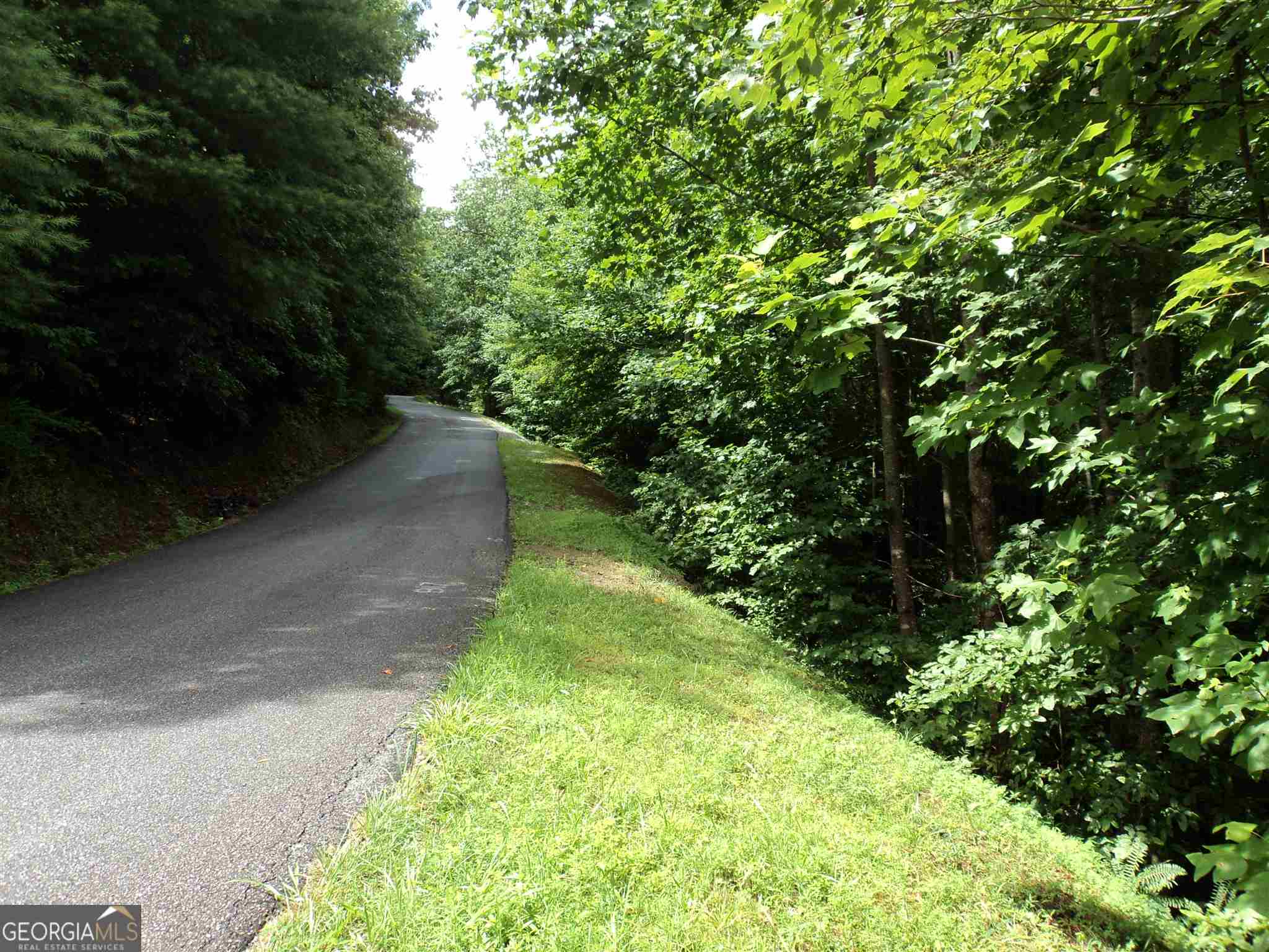 0 Smokey Hollow Drive Dillard GA 30537