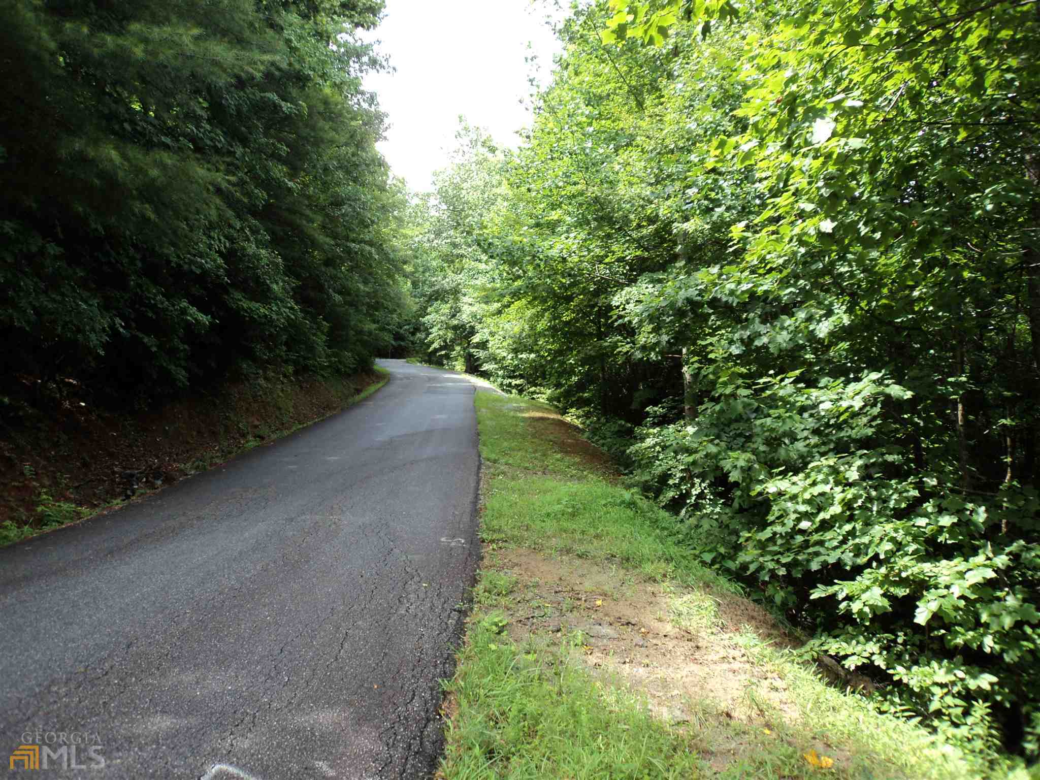 0 Smokey Hollow Drive Dillard GA 30537