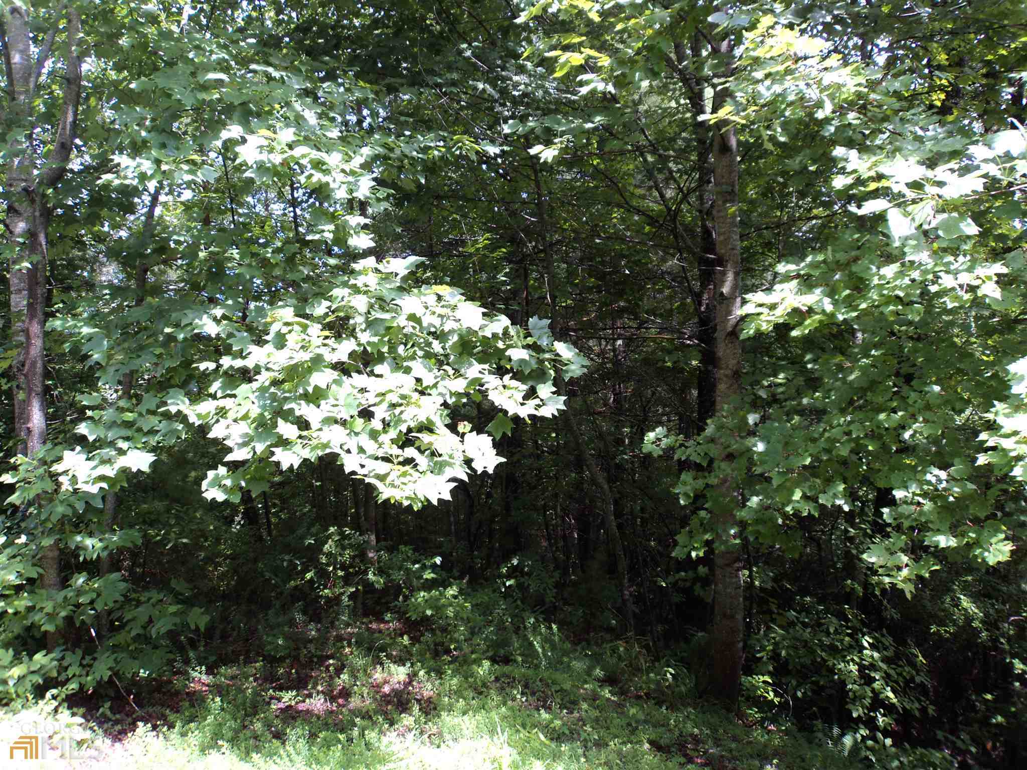 0 Smokey Hollow Drive Dillard GA 30537