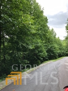 0 Smokey Hollow Drive Dillard GA 30537