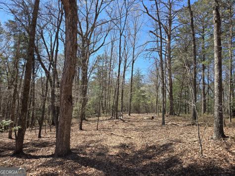 95 Black Bear Trail Cleveland GA 30528