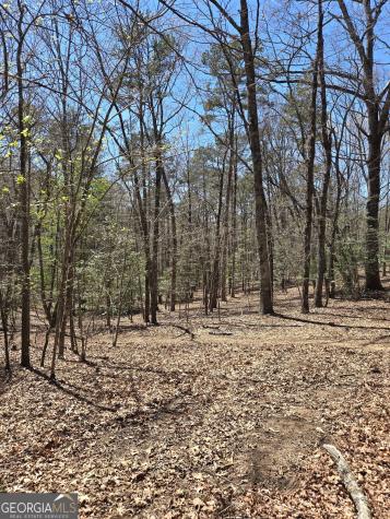 95 Black Bear Trail Cleveland GA 30528