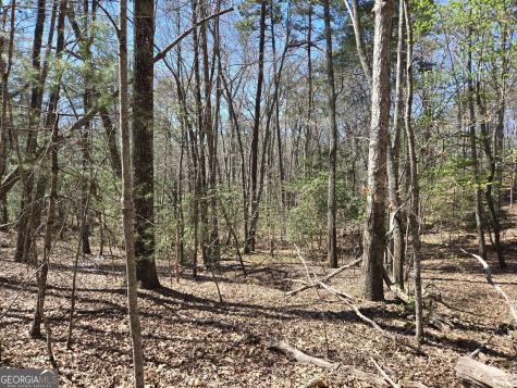 95 Black Bear Trail Cleveland GA 30528