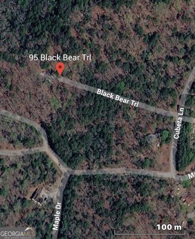 95 Black Bear Trail Cleveland GA 30528