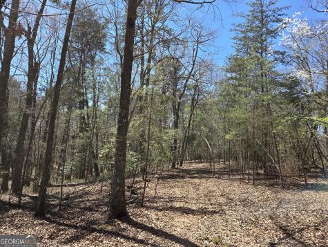 95 Black Bear Trail Cleveland GA 30528
