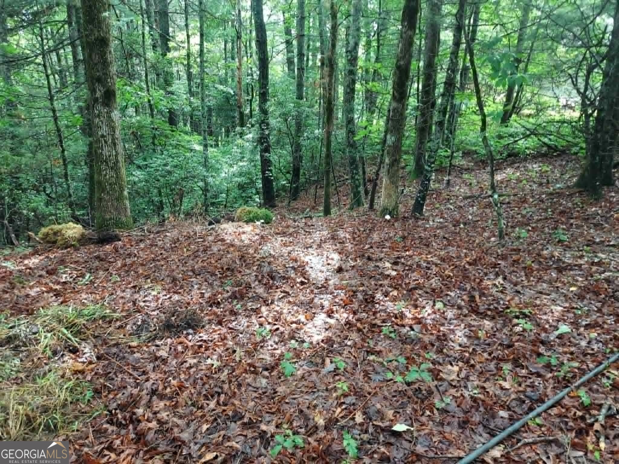 0 Lot 3 Jiminy Peak Sky Valley GA 30537