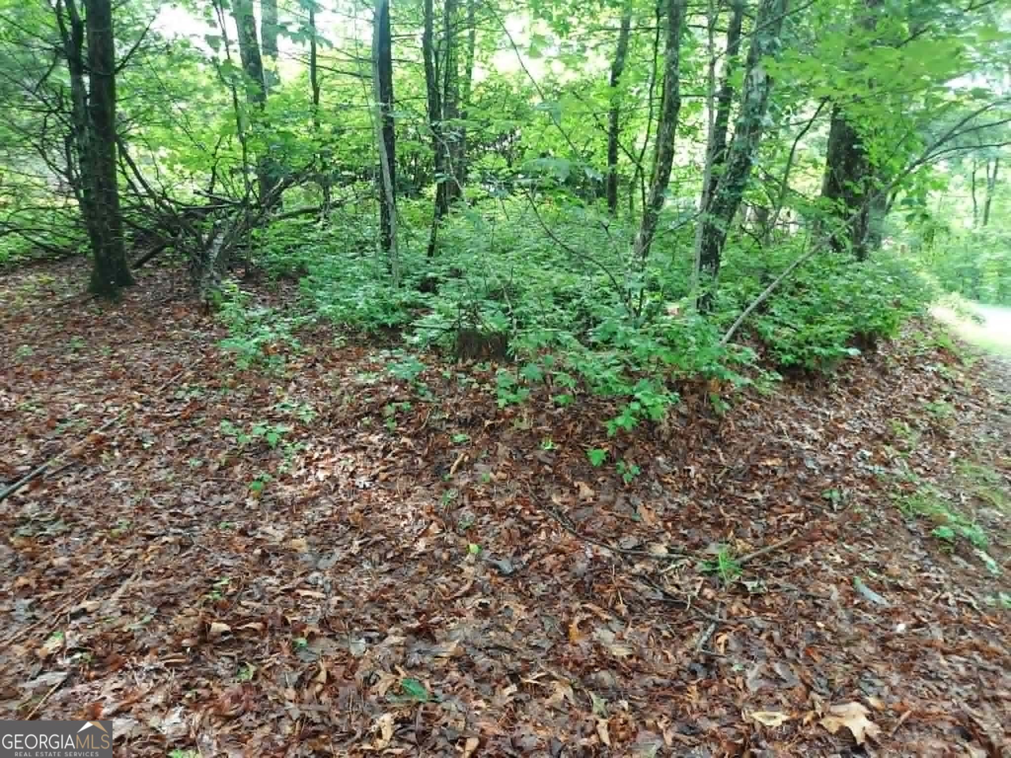 0 Lot 3 Jiminy Peak Sky Valley GA 30537