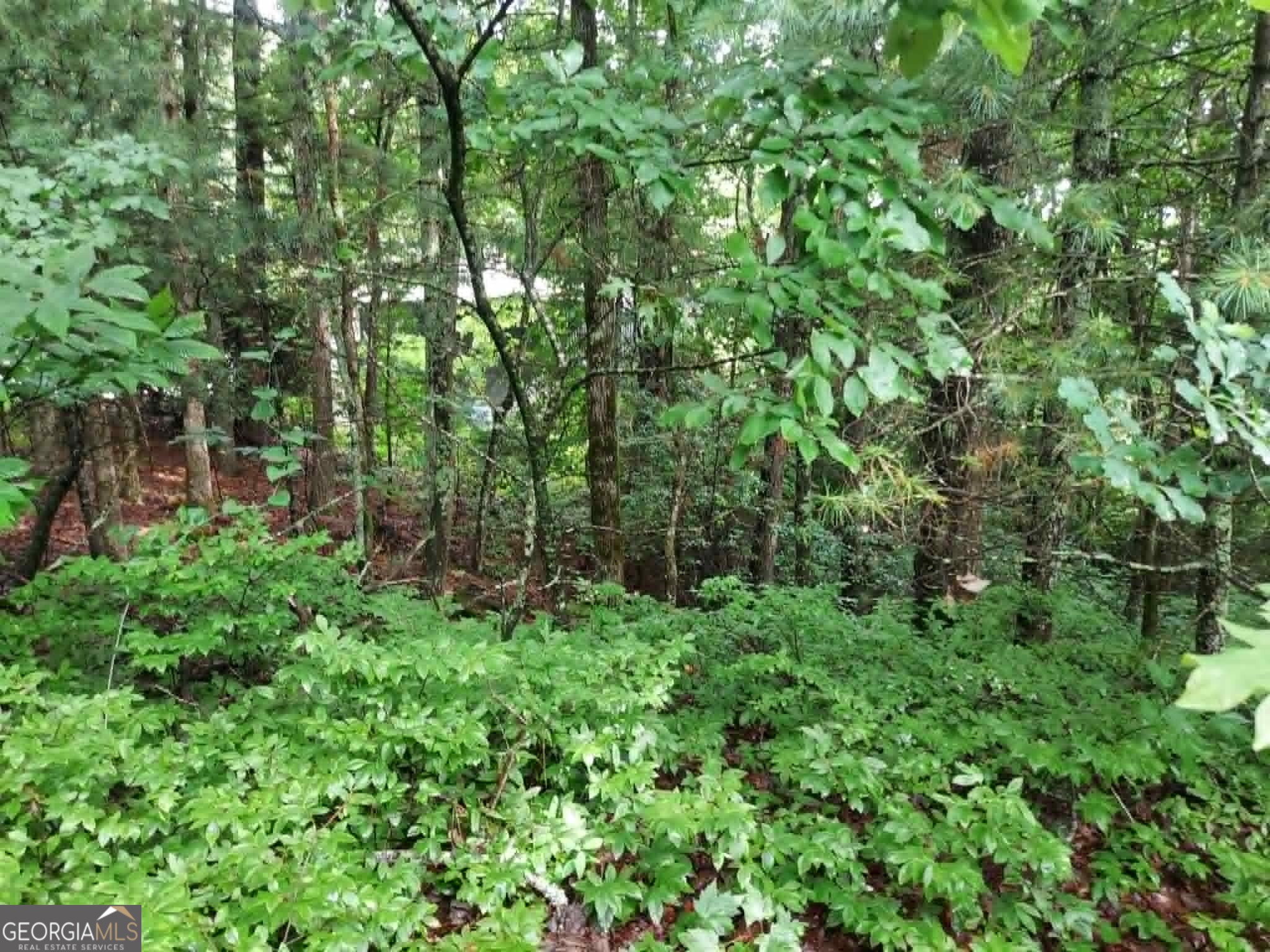 0 Lot 3 Jiminy Peak Sky Valley GA 30537