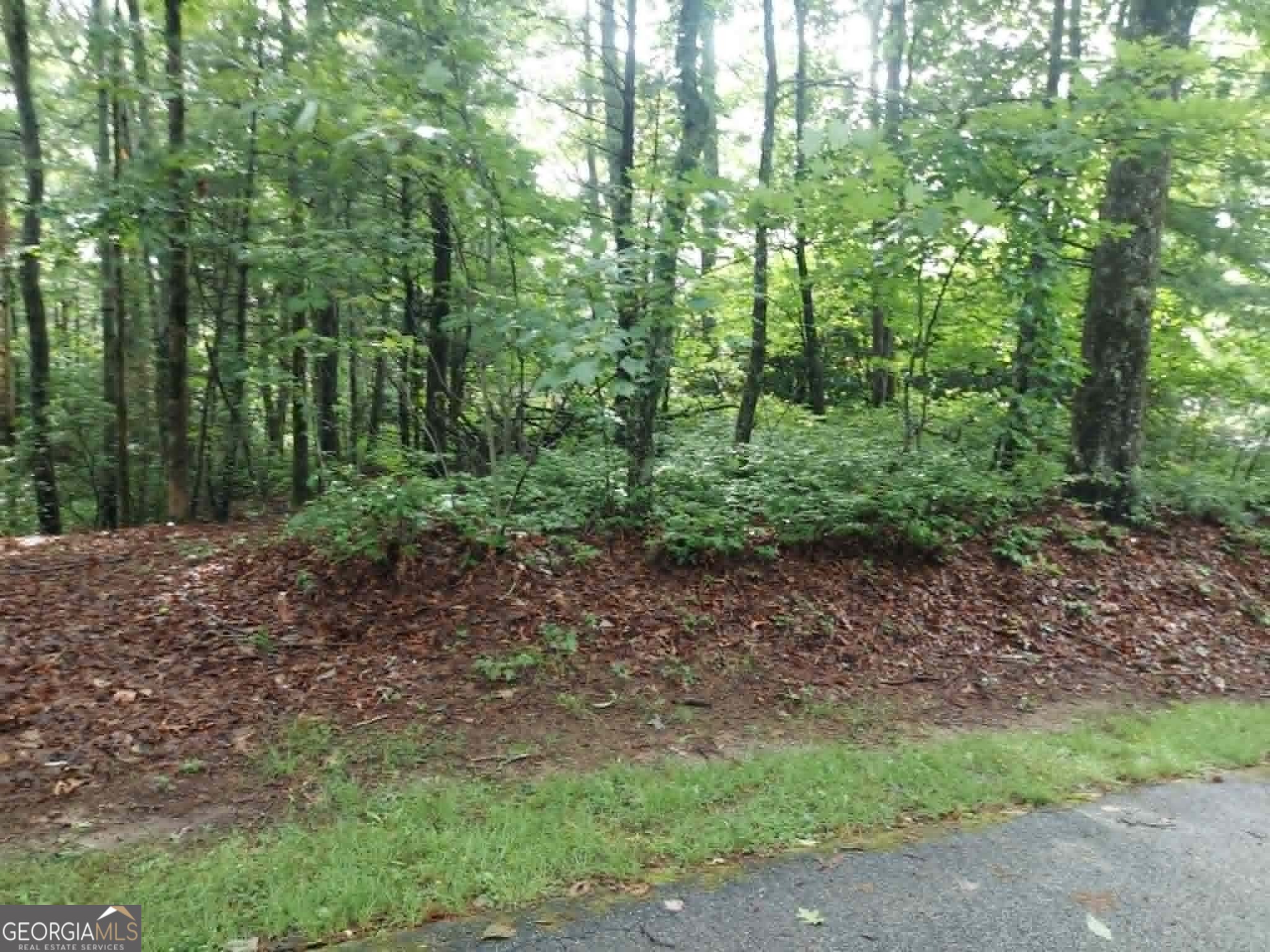 0 Lot 3 Jiminy Peak Sky Valley GA 30537