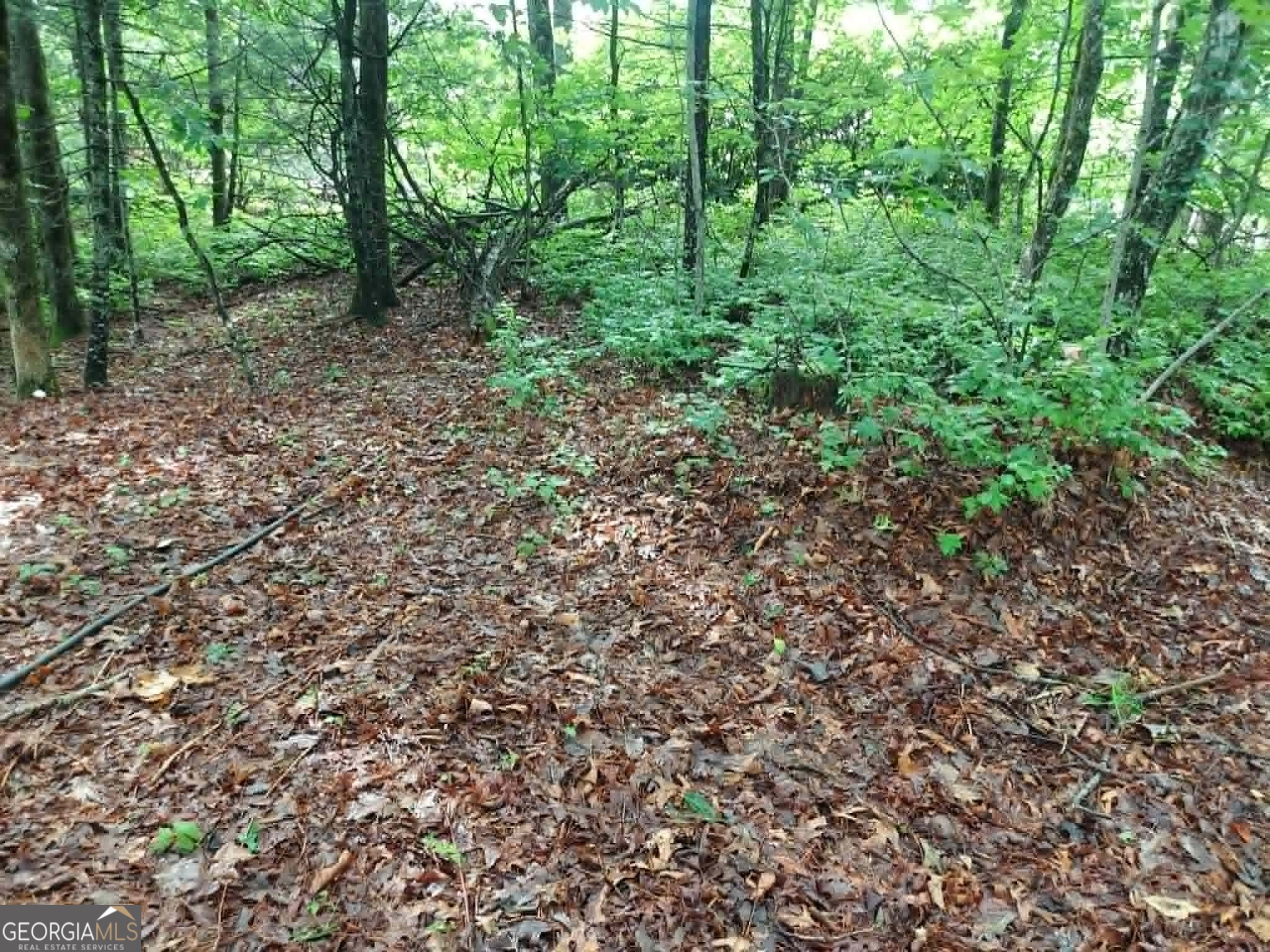 0 Lot 3 Jiminy Peak Sky Valley GA 30537