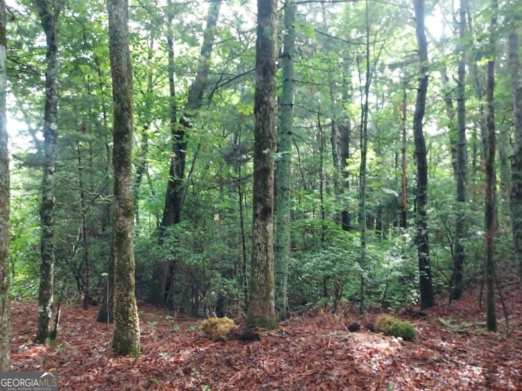 0 Lot 3 Jiminy Peak Sky Valley GA 30537