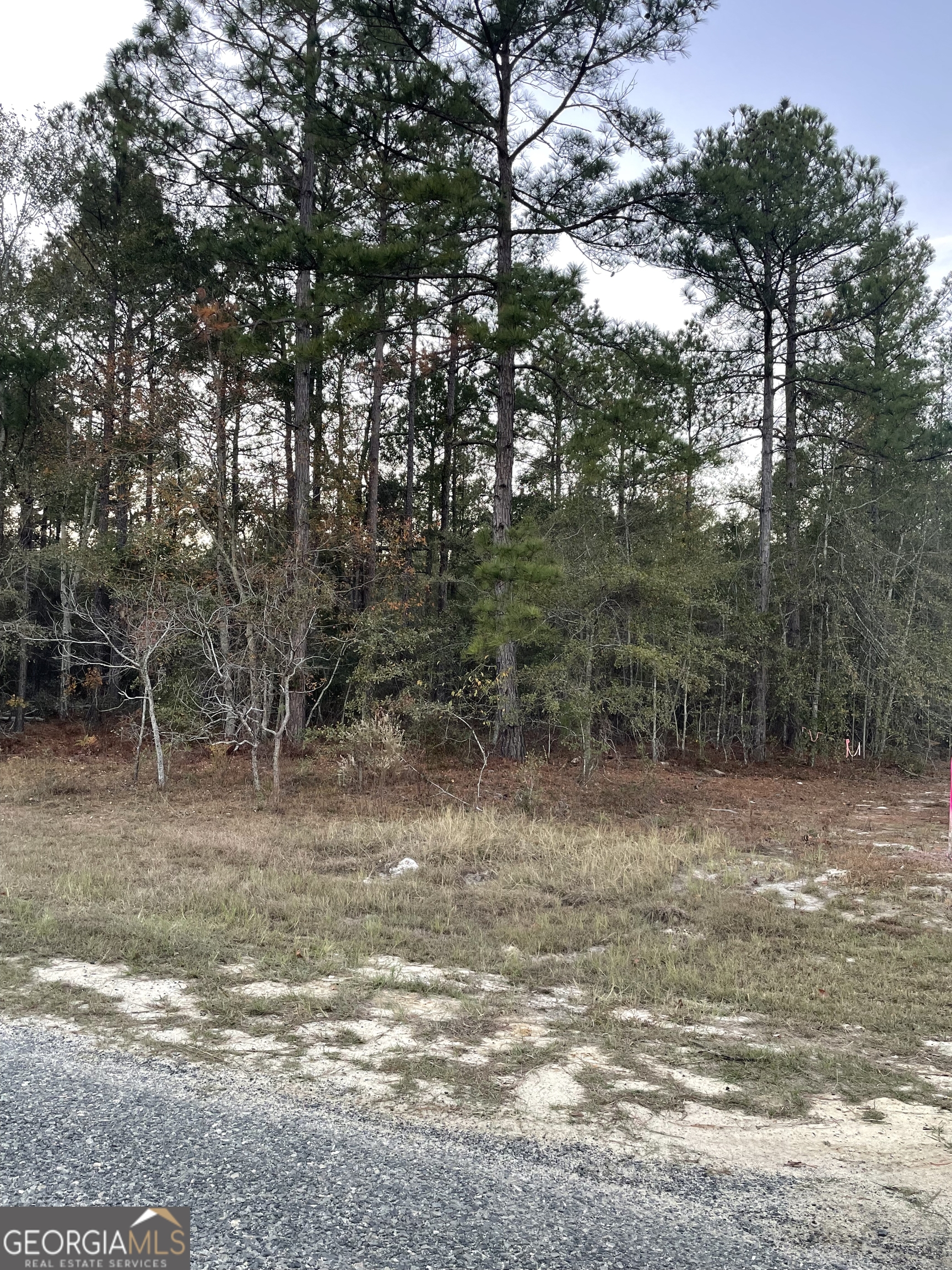 0 Shuffletown Road Twin City GA 30471