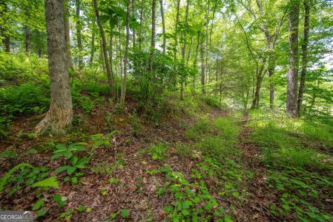 1.57AC Faith Hill Road Mccaysville GA 30555