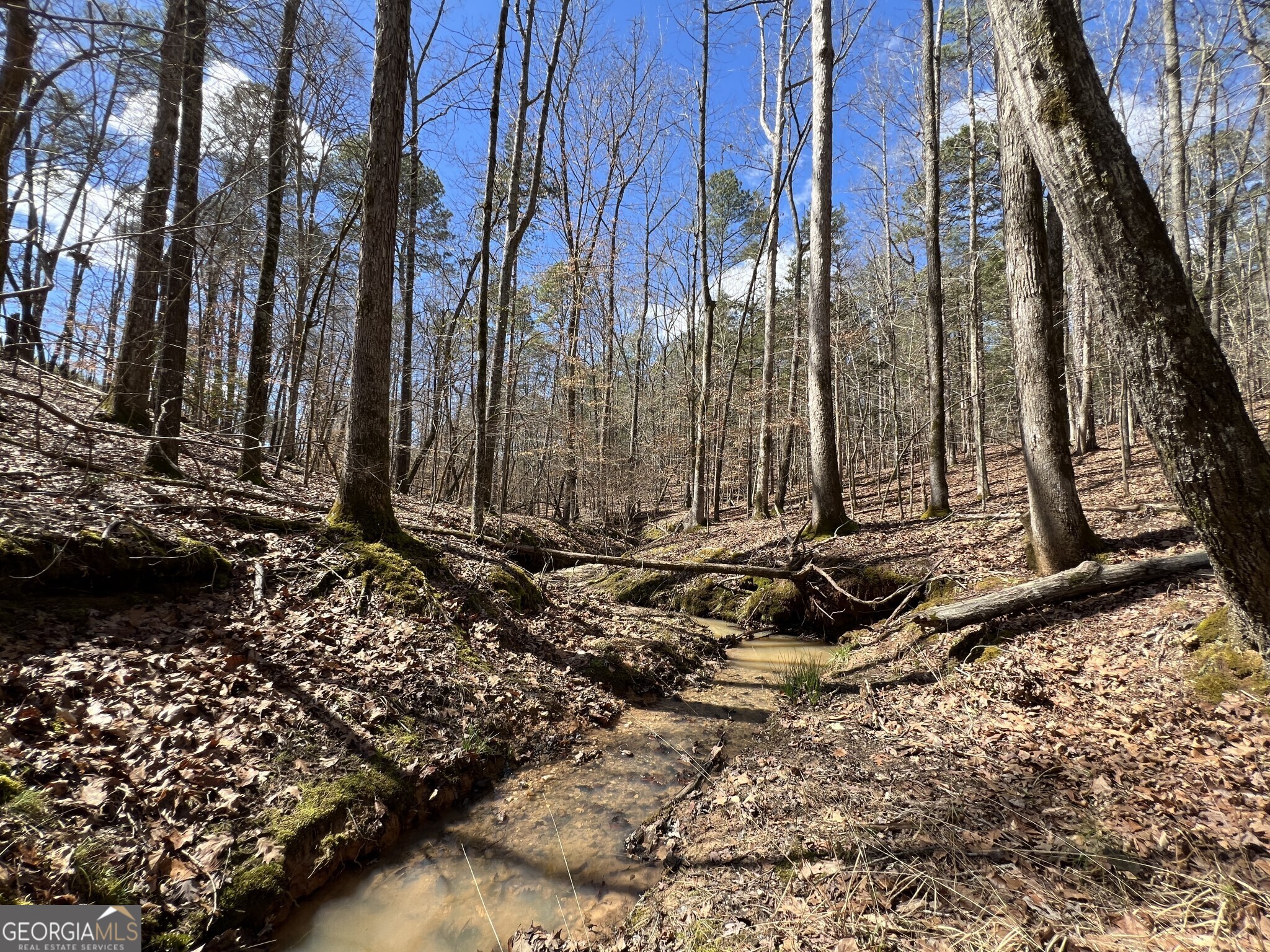 Tract B3 Hulmes Chapel Road Elberton GA 30635