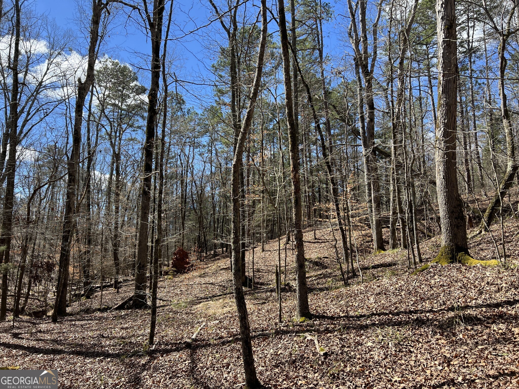 Tract B3 Hulmes Chapel Road Elberton GA 30635