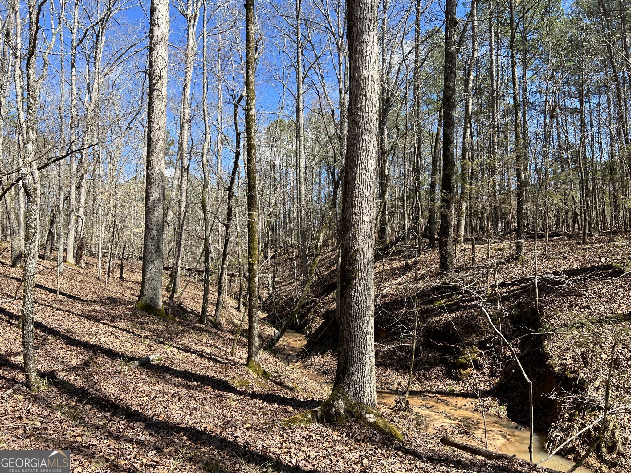 Tract B3 Hulmes Chapel Road Elberton GA 30635