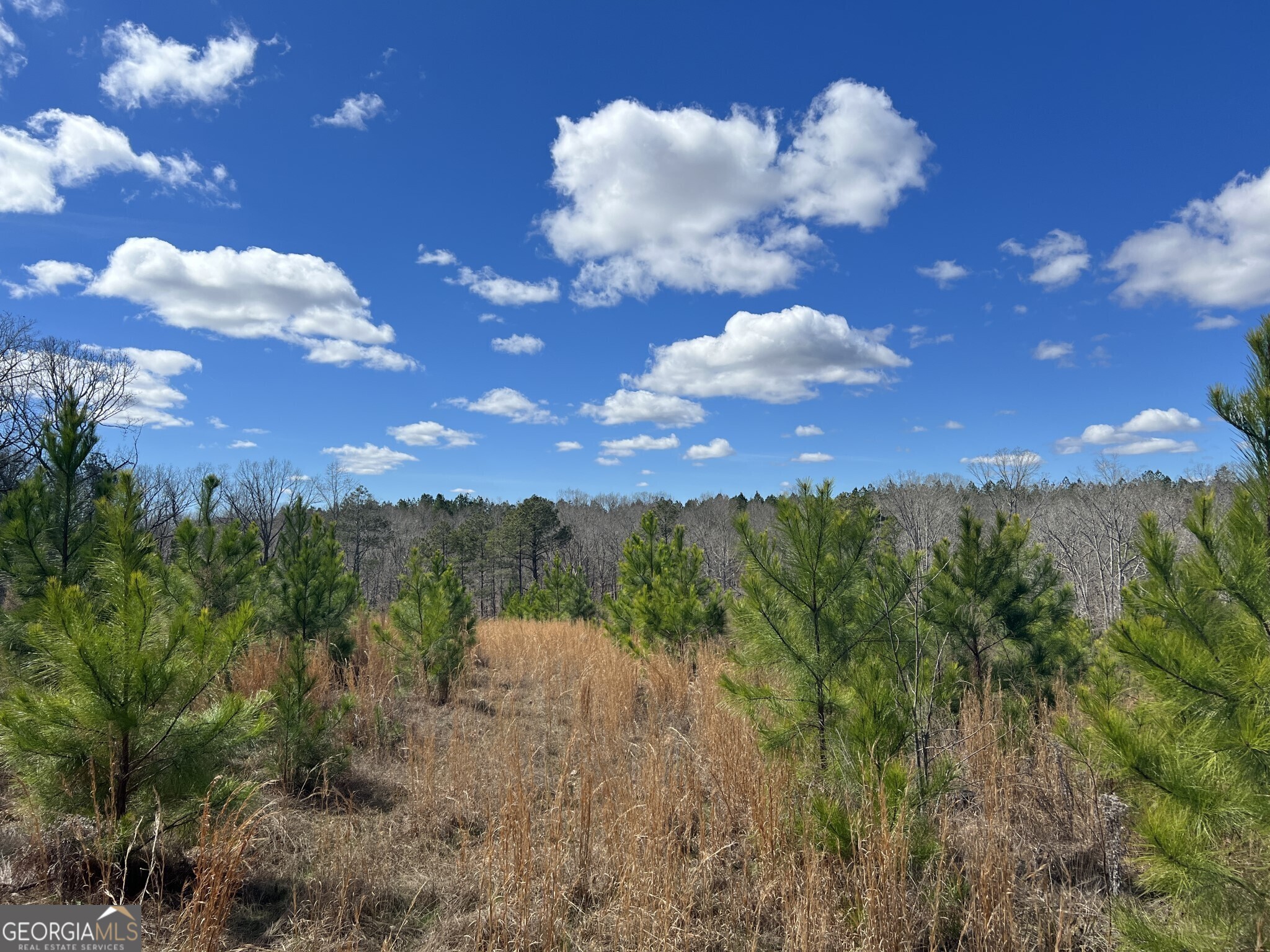Tract B3 Hulmes Chapel Road Elberton GA 30635